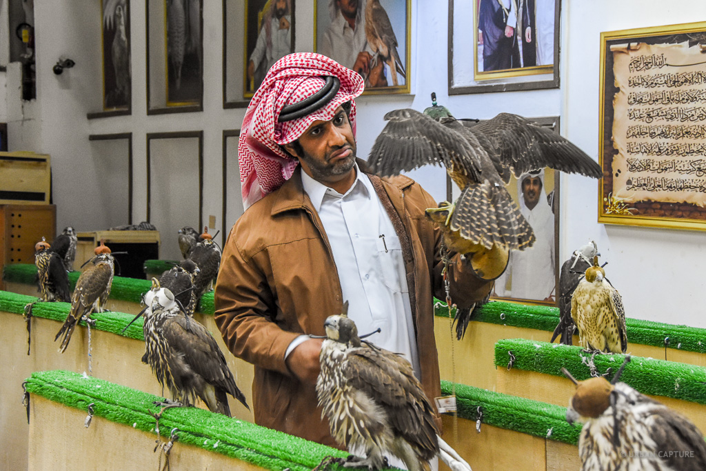 Falconer holding a falcon with spread wings inside the falcon souq